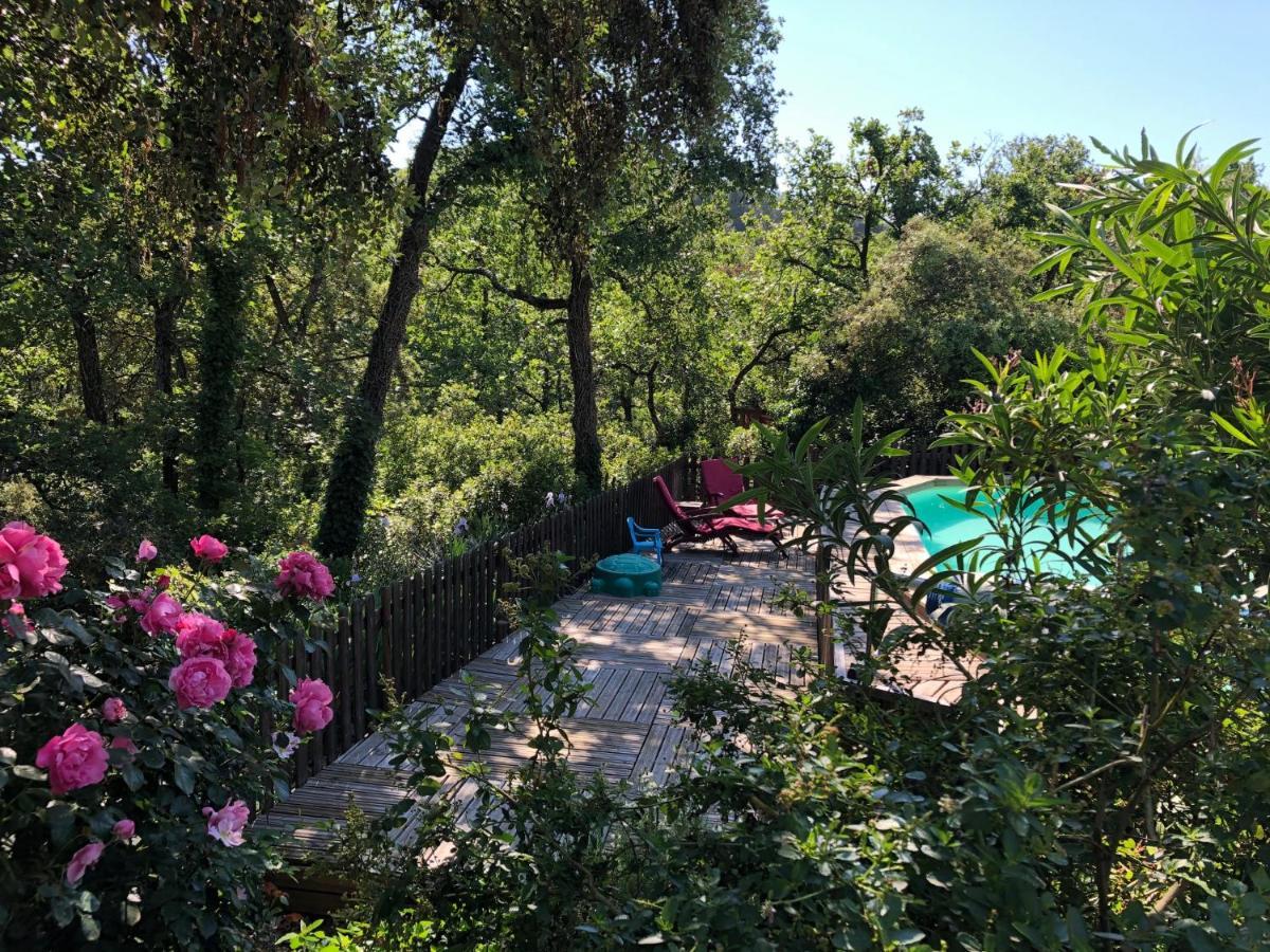 La Bastide De Mauragne - Gite Les Iris Apt Eksteriør billede
